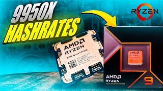 AMDs Ryzen 9 9950x Flagship Is Interesting - 9950x Hashrates