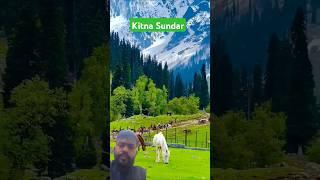 nature #mountains #travel #beautiful #bollywood #song #hindisong #shortsviral