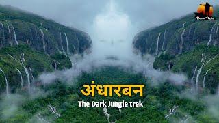 Andharban Jungle Trek | महाराष्ट्रातील चमत्कारी झाडांनी वेढलेलं घनदाट जंगल ट्रेक | The Dark Forest