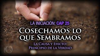 25. Cosechamos lo que Sembramos. La Causa y Efecto: Principio de la Verdad.