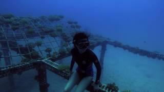 FreeDiving Long Adventure