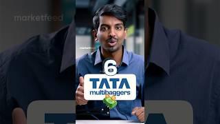 6 TATA Multibagger Stocks from 2024!