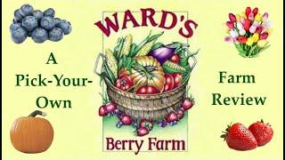 Wards Berry Farm Review.