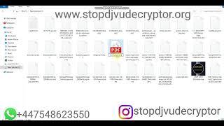 How to Decrypt nerz ransomware virus using stop djvu decryptor complete guide and solution