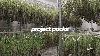 Inside Project Packs: Bringing Legacy Cannabis Brands to Arizona