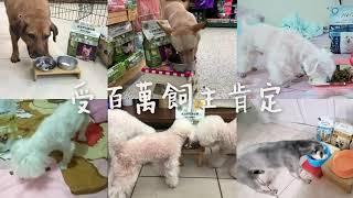 Herz赫緻 挑食狗狗最愛!受百萬飼主肯定! ｜Herz赫緻 低溫烘焙健康糧｜BRC驗證工廠 毛寶貝食品安全有保障