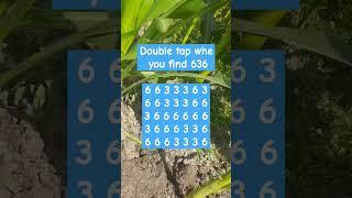 Double tap when you spot 636 #search #puzzle #shorts