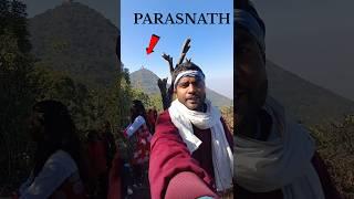 Tota Ud gaya  Parasnath mein #viral #youtubeshorts #parasnath