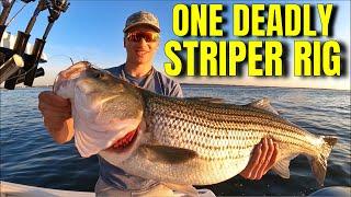 Striper Fishing with a Simple Rig YOU WONT BELIEVE!!