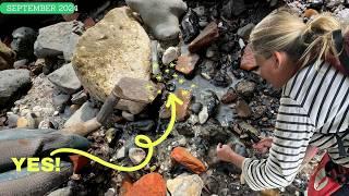 A Tiny Find Tells a Big Story! A Wonderful Mudlark & The Low Tide Reveals a Very Special Object!