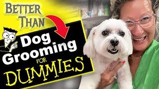 Dog Grooming Steps for Dummies