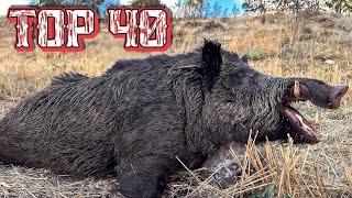 40 Shots in 3 Minutes | Wild Boar Hunting Ep 12
