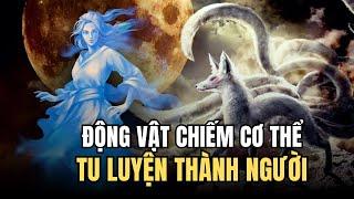 Tại Sao Động Vật Lại Phải Mượn Cơ Thể Người Để Tu Luyện - ĐTT