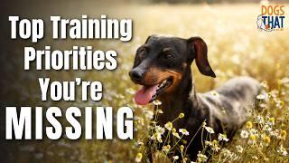 The REAL Priorities In Dog Training: Beyond Sit, Down, Stay, Heel