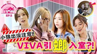 【四洲呈獻：VIVA Medium Rare House】小強出沒注意！VIVA引螂入室？｜EP.5