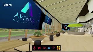 Faculty of Business Sustainability in the Metaverse