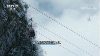 全世界最长的观光索道——张家界天门山索道 市区可以直达山顶《湘西》第六集【CCTV纪录】