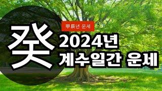 갑진년 2024년 계수일간 운세