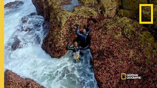 Harvesting Barnacles in Portugal | Gordon Ramsay: Uncharted