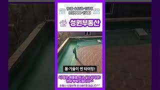 강북 수유 노원 도봉 원룸관리 옥상방수 관리 /성원부동산
