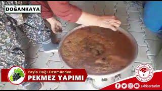 ▶️ Akhisar'da Yayla Bağı Üzümünden Pekmez Yapımı