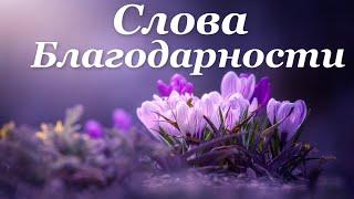 Примите благодарность от души!