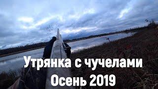 Охота на утку с чучелами.Осень 2019.
