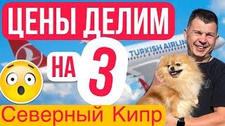 ЦЕНЫ ДЕЛИМ на 3 !  КАК  ДЕШЕВО КУПИТЬ и ПРИЛЕТЕТЬ на Северный Кипр. СМОТРЕТЬ ВСЕМ ! Обзор виллы