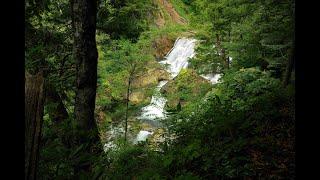 三段の滝～雑魚川～