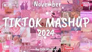 Tiktok Mashup November 2024 (Not Clean)