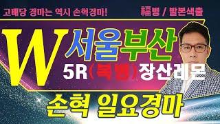 고배당 경마는 역시 손혁 경마 6/22(일)서울/부산 복병마 내용을 확인해 보세요!!
