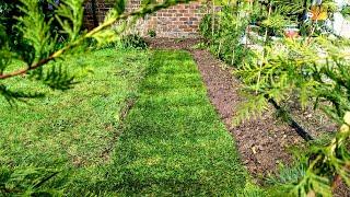 Laying Turf - Instant Perfect Green Grass