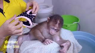 Monkey Baby Shin Relaxes Dry and Put On New Underwear | Animals Video