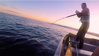 Jigging For Kingfish Off Kapiti Island