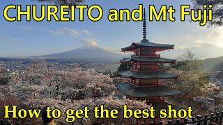 Chureito Pagoda with Mt. Fuji and cherry blossoms - getting that best shot