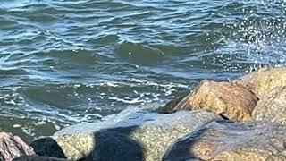 Truro, MA — Slow-motion sea spray — October, 27 2022