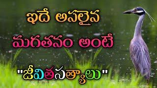 జీవిత సత్యాలు #310 |మంచి మాటలు|Inspirational quotes|Motivational quotes|సూక్తులు|Telugu quotes