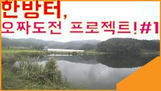 (4K)오짜터, 오짜붕어 도전 프로젝트#1. 천안 터쎈 한방터 다녀왔습니다.