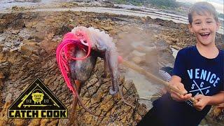 Kids tidal pool fishing for octopus - catch cook - Agulhas, tip of Africa