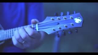 Muleskinner Instruments - #009 Blue Burst (walnut//adirondack spruce)