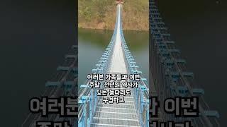 가볼만한곳 진천의명소 초평호 미르309 #가볼만한곳 #출렁다리