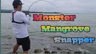 FISHING FOR MONSTER SNAPPER|BEST LURE FOR SNAPPER|MICRO JIGGING