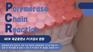 육군훈련소 입영장정 1차 PCR 현장