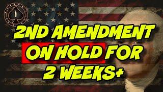 State Suspends 2nd Amendment For 2 Weeks And Counting