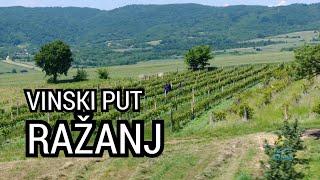 Oaza ep.72 - Carigradski vinski put - Ražanj