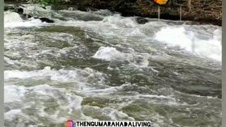 NATURAL VIDEO|Thengumarahada Moyar|Sathyamangalam  Forest