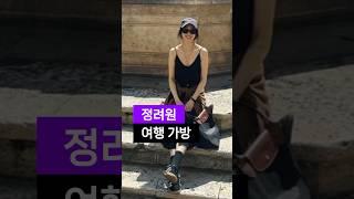 정려원 사복 패션 여행 가방 롱샴 르 플리아쥬 오리지널 L 숄더백