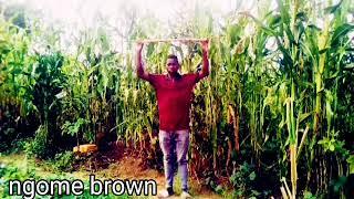 harmonize tz na mkato mpya tizama. ngome brown