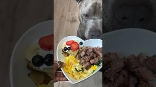 ️ Cooking For My Dog ASMR #shorts #viral