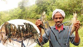 നല്ല പൊളപ്പൻ  കുട്ടനാടൻ കൊഞ്ച്  പൊള്ളിച്ചത് | KING OF PRAWN | Kerala Style Prawn Fry In Banana Leaf